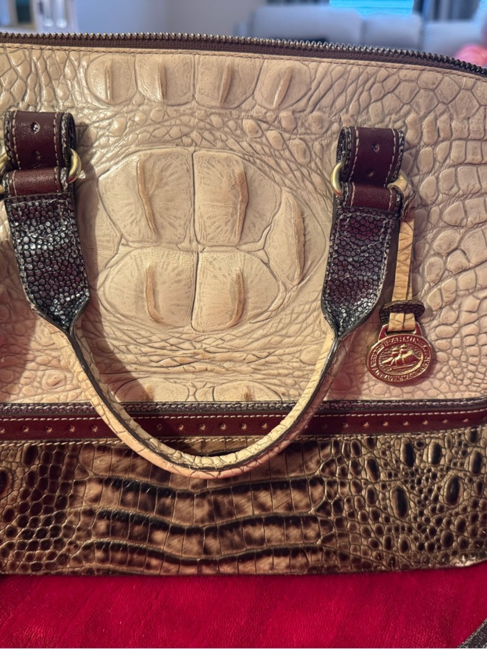 Dooney & Bourke Two-Tone Croc-Embossed Satchel in Beige and Brown